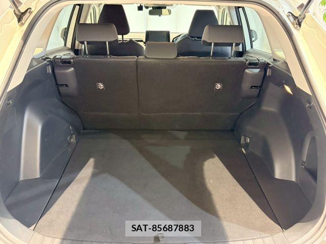 Toyota RAV4 2019-12 7216211-14