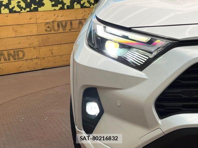 Toyota RAV4 2024-04 7272810-11