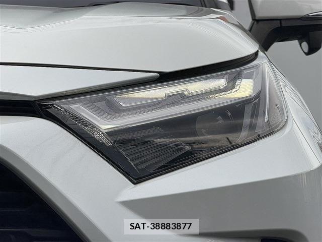 Toyota RAV4 2022-07 7619516-25