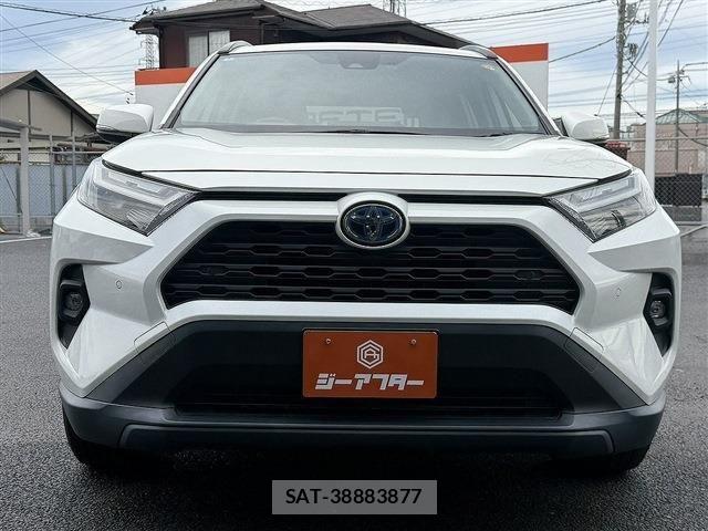 Toyota RAV4 2022-07 7619516-7