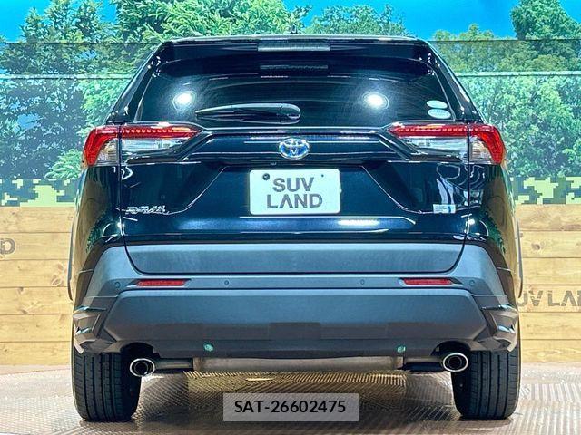 Toyota RAV4 2019-07 8337618-14