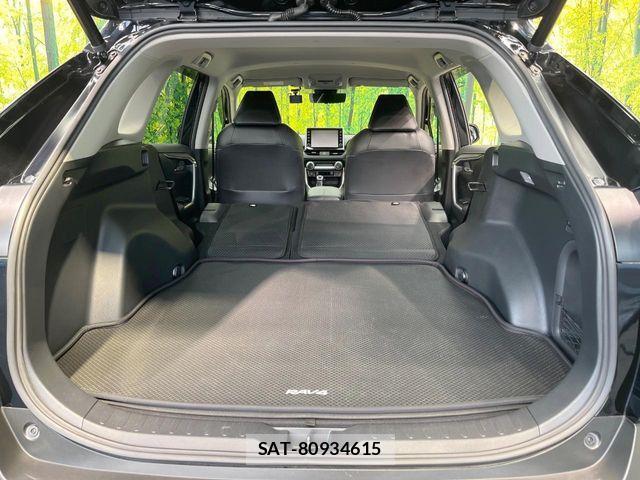 Toyota RAV4 2021-03 4979852-9