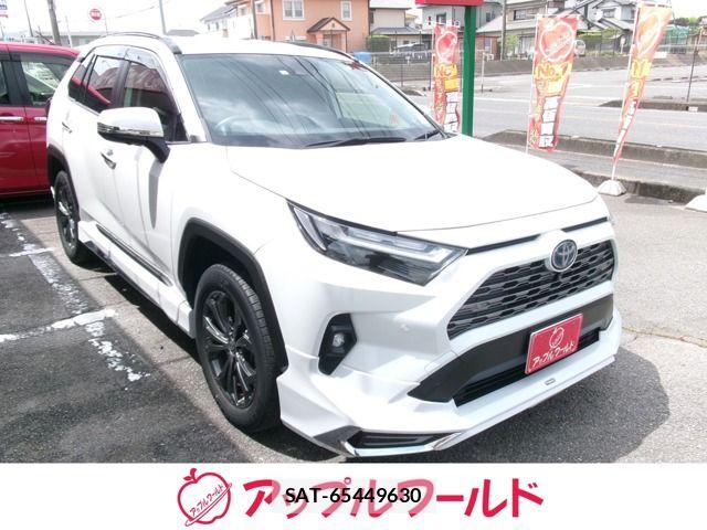 Toyota RAV4 2023-04 6673361-0