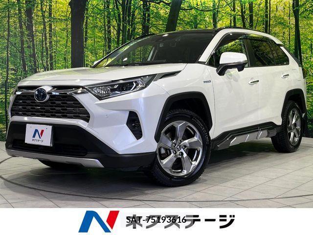 Toyota RAV4 2019-07 6816871-0