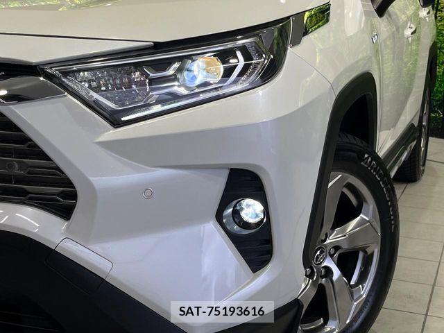 Toyota RAV4 2019-07 6816871-11