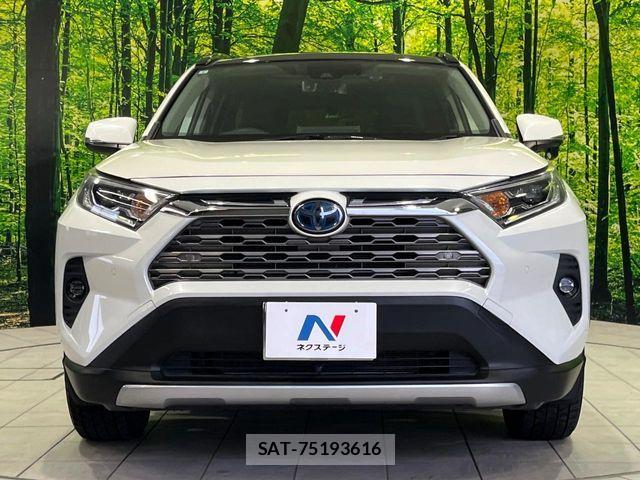 Toyota RAV4 2019-07 6816871-13