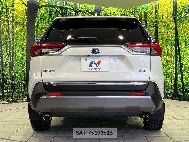 Toyota RAV4 2019-07 6816871-14