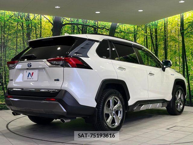 Toyota RAV4 2019-07 6816871-16
