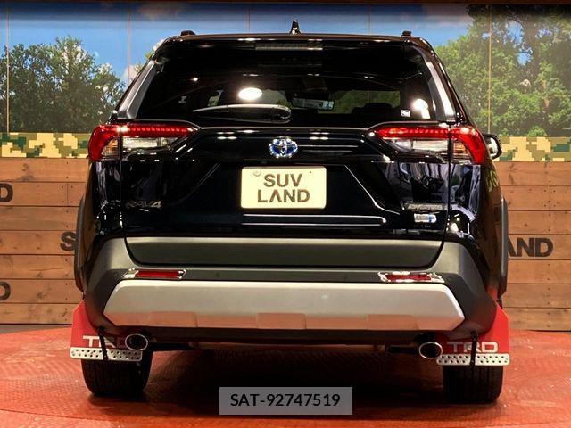 Toyota RAV4 2023-09 6816866-14