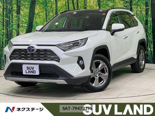 Toyota RAV4 2020-12 6816868-0