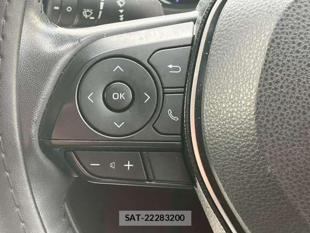 Toyota RAV4 2019-11 6816872-8