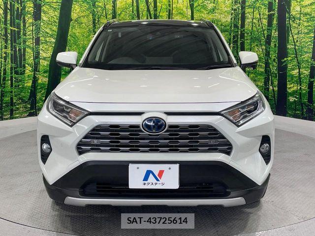 Toyota RAV4 2019-11 6911938-12