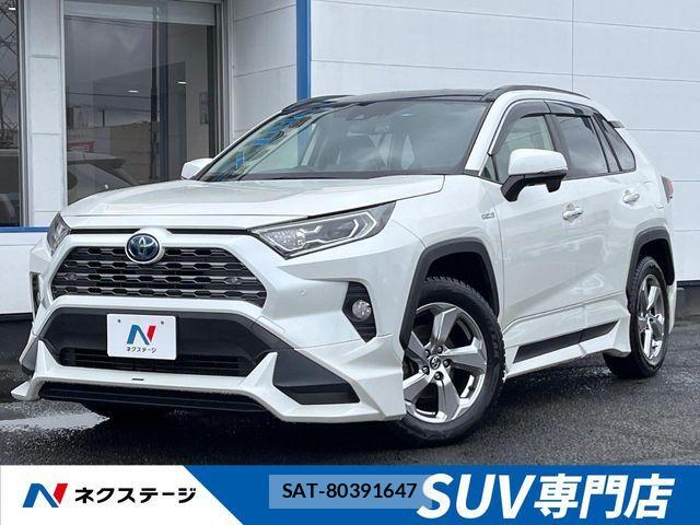 Toyota RAV4 2019-05 7218277-0