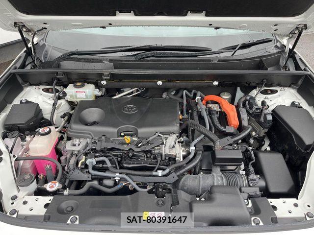 Toyota RAV4 2019-05 7218277-17