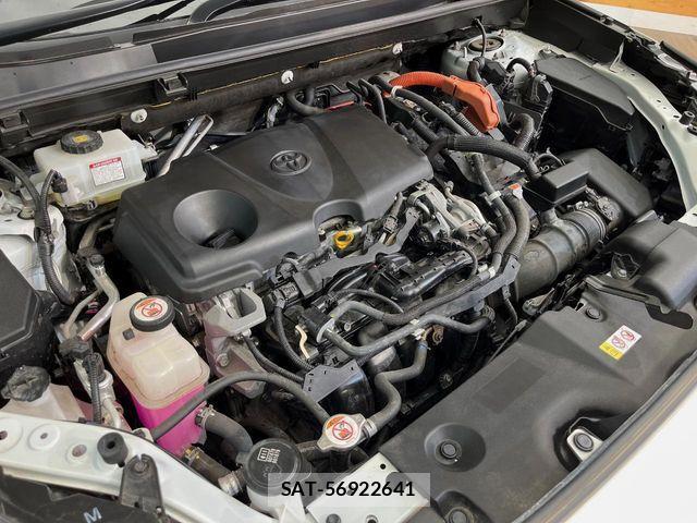 Toyota RAV4 2019-09 7252109-18