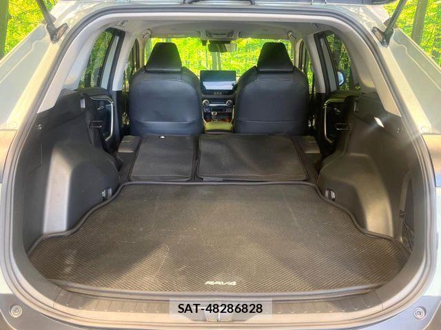 Toyota RAV4 2023-07 7252111-9
