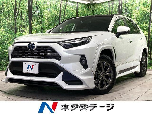 Toyota RAV4 2023-03 7252103-0