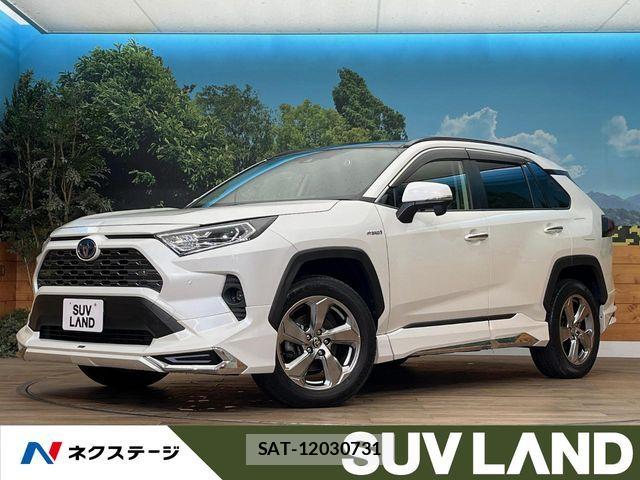 Toyota RAV4 2019-08 7252106-0