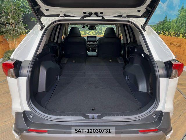 Toyota RAV4 2019-08 7252106-11