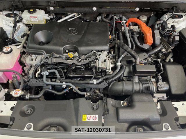 Toyota RAV4 2019-08 7252106-18