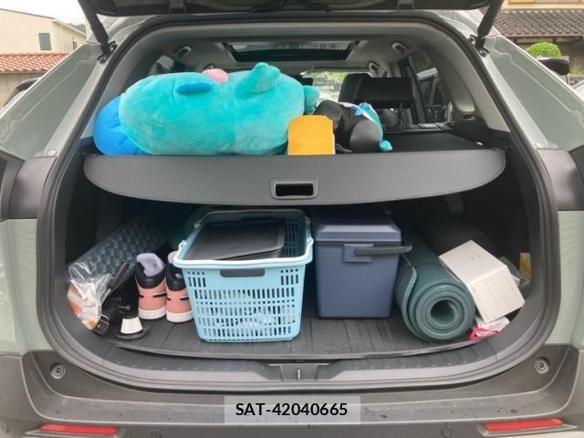Toyota RAV4 2025-06 7272813-11
