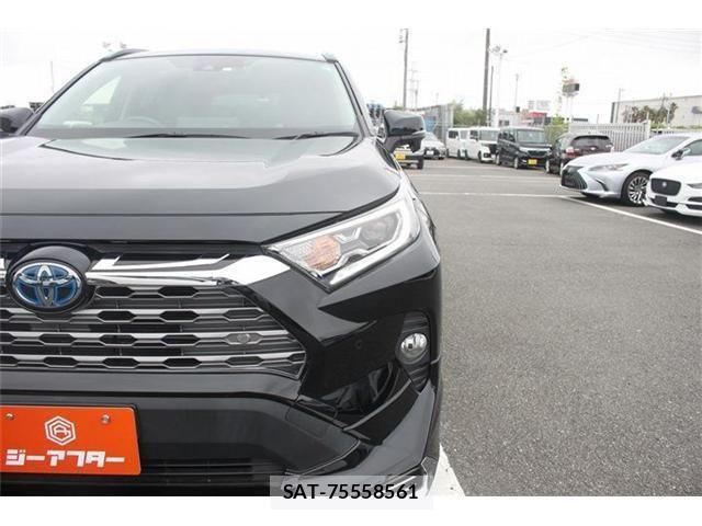 Toyota RAV4 2019-05 7329694-15