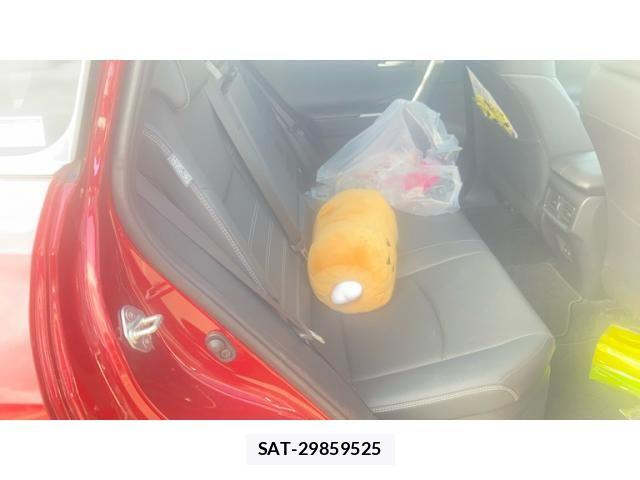 Toyota RAV4 2025-06 7329691-25