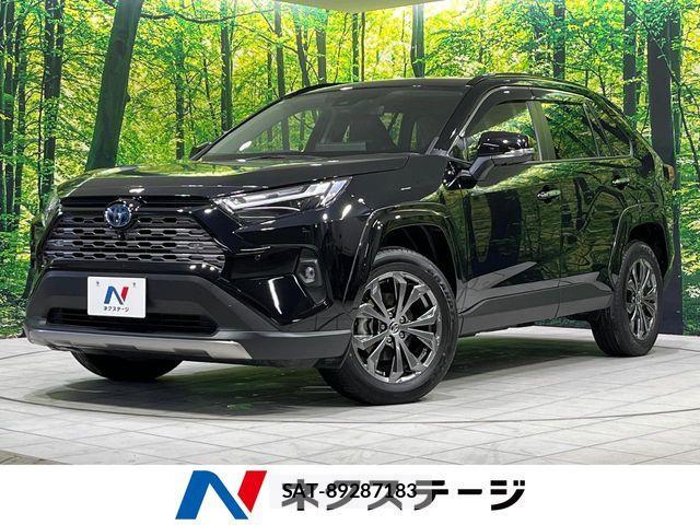 Toyota RAV4 2023-08 7359571-0