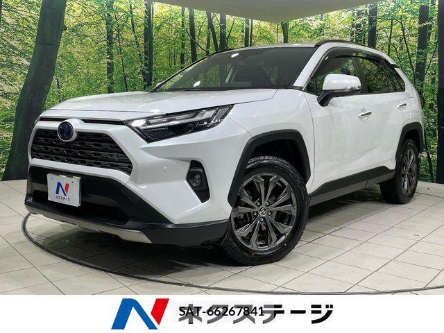 Toyota RAV4 2023-11 7359573-0