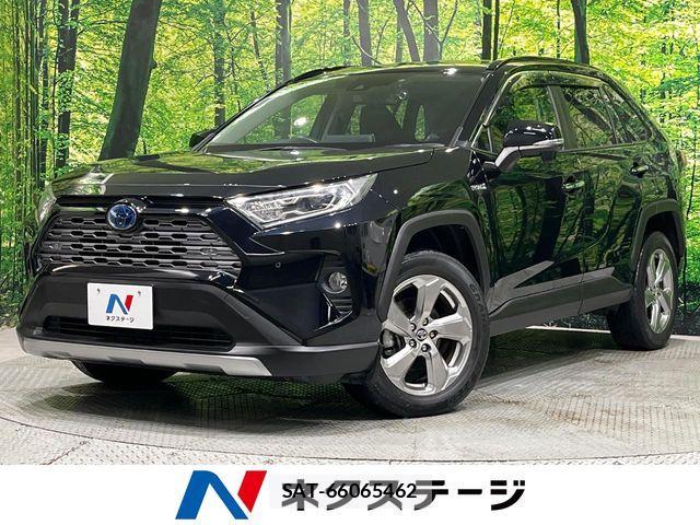 Toyota RAV4 2019-05 7457263-0