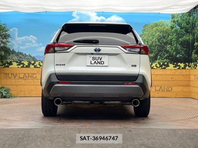 Toyota RAV4 2021-09 7509861-15