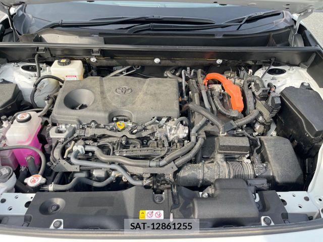 Toyota RAV4 2024-06 7619526-17