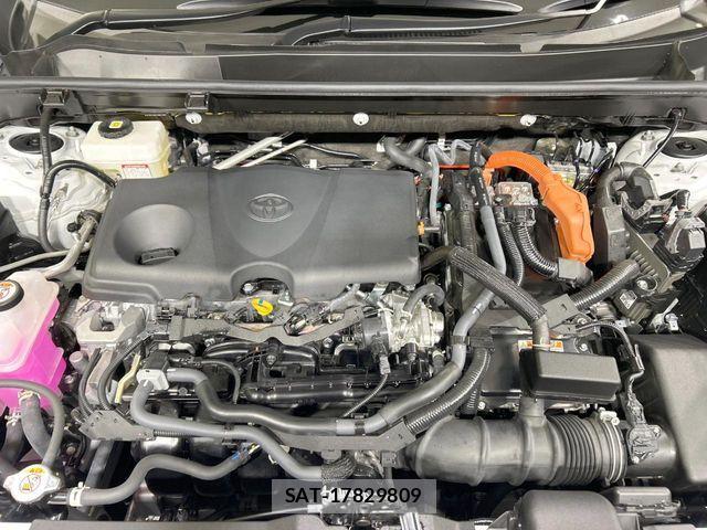 Toyota RAV4 2025-06 7727812-17