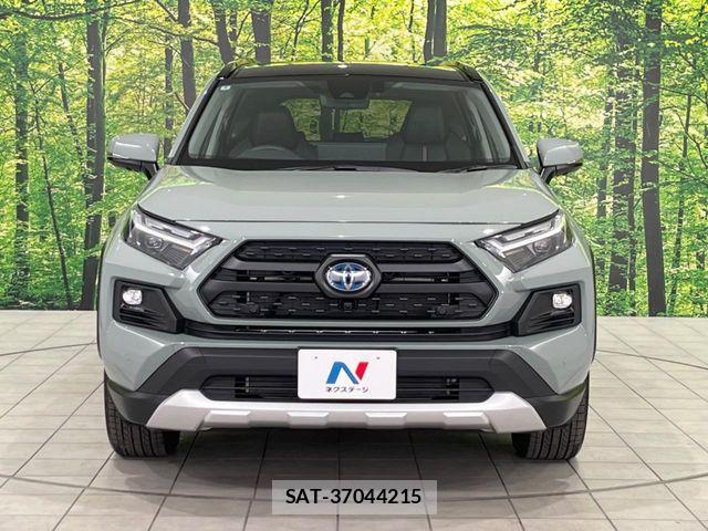 Toyota RAV4 2024-09 7879119-14