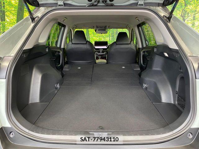 Toyota RAV4 2024-03 7879120-10
