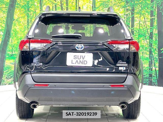Toyota RAV4 2024-10 7903300-15
