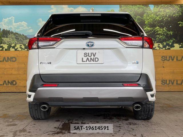 Toyota RAV4 2019-07 7963551-14