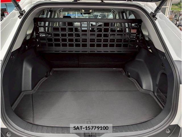 Toyota RAV4 2024-04 7980821-15
