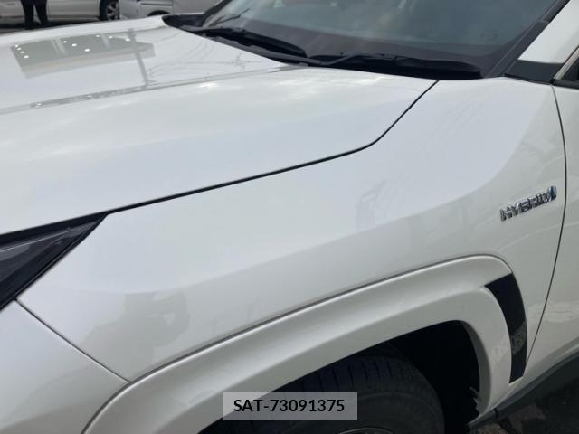 Toyota RAV4 2019-04 7980827-5