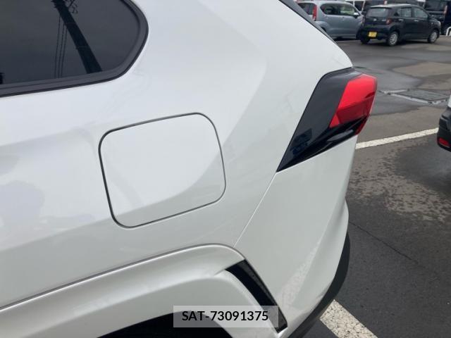 Toyota RAV4 2019-04 7980827-8