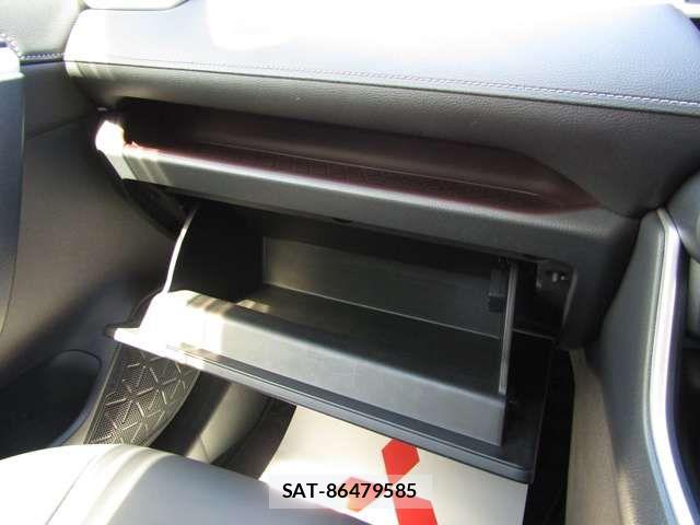 Toyota RAV4 2019-06 8075327-16