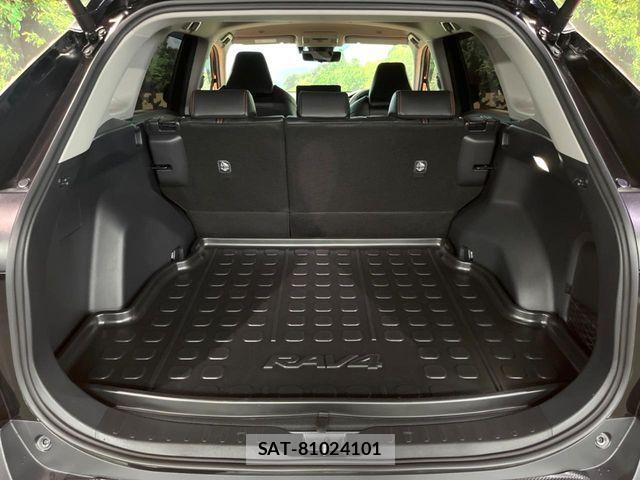 Toyota RAV4 2023-10 8101543-12