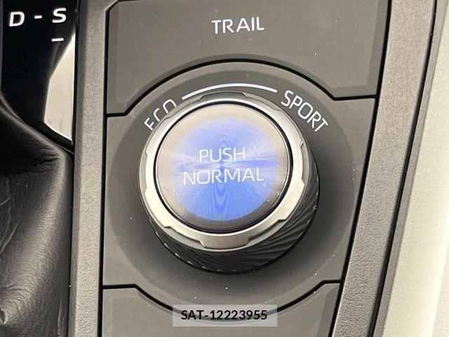 Toyota RAV4 2025-07 8146566-5