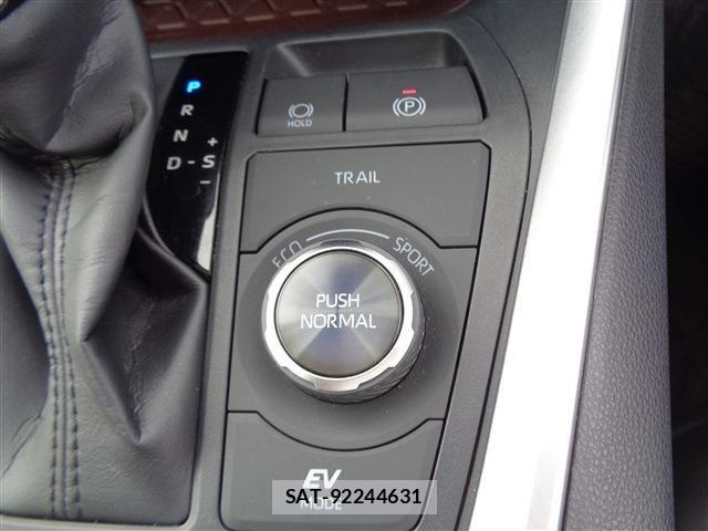 Toyota RAV4 2024-06 8231590-27