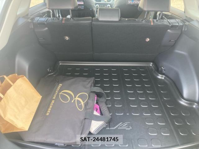 Toyota RAV4 2022-03 8316699-23