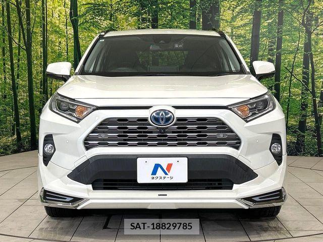 Toyota RAV4 2021-11 8316704-13