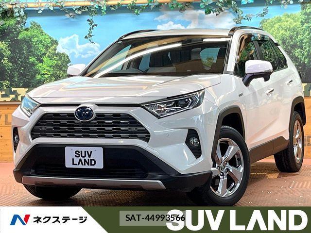 Toyota RAV4 2019-07 8337629-0