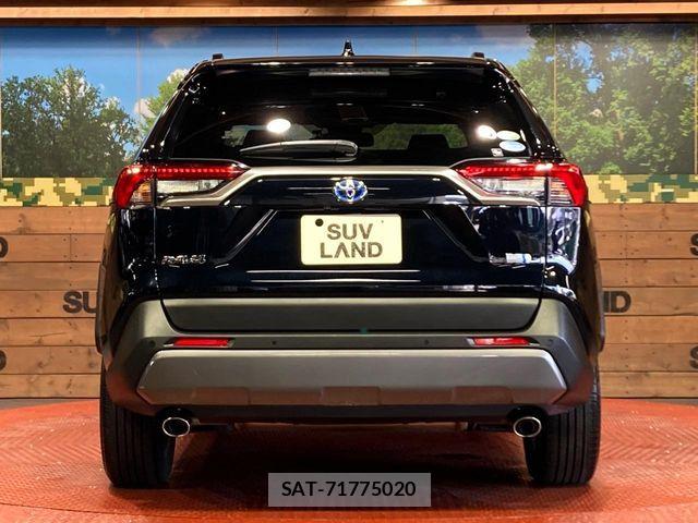 Toyota RAV4 2021-04 8458300-14
