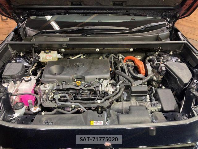 Toyota RAV4 2021-04 8458300-17