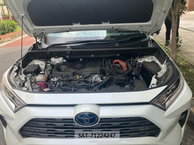 Toyota RAV4 2019-05 8563386-12